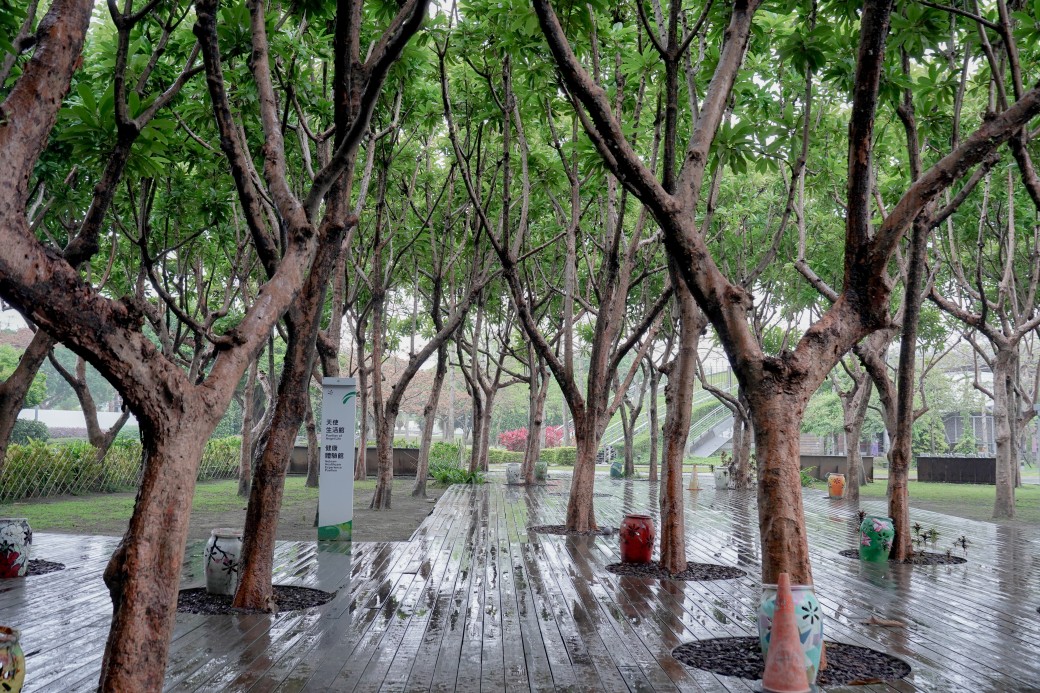 台北典藏植物園，免費森林系景點，室內森林玻璃屋雨天備案，晴天也很美！ @瑪姬幸福過日子