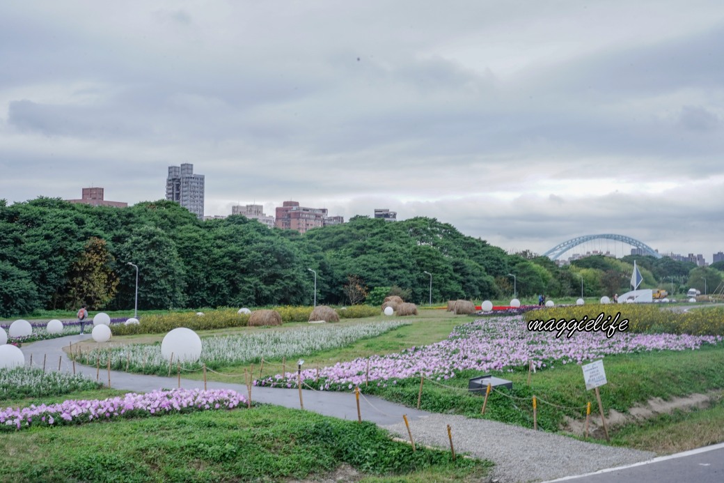 2024古亭河濱公園花海，台北免費賞花景點， 粉紅花海帳篷屋漸層花海超浪漫，一秒到日本，怎麼去交通，花期，拍照方式。 @瑪姬幸福過日子