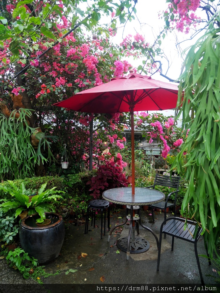 內湖莓圃觀光休閒果園餐廳，草莓PIZZA，草莓咖啡，台北親子景點推薦，菜單 @瑪姬幸福過日子