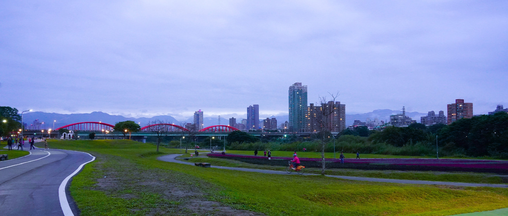 古亭河濱公園花海，台北免費賞花景點， 13萬紫色漸層花海超浪漫，一秒到日本，怎麼去交通，花期，拍照方式。 @瑪姬幸福過日子