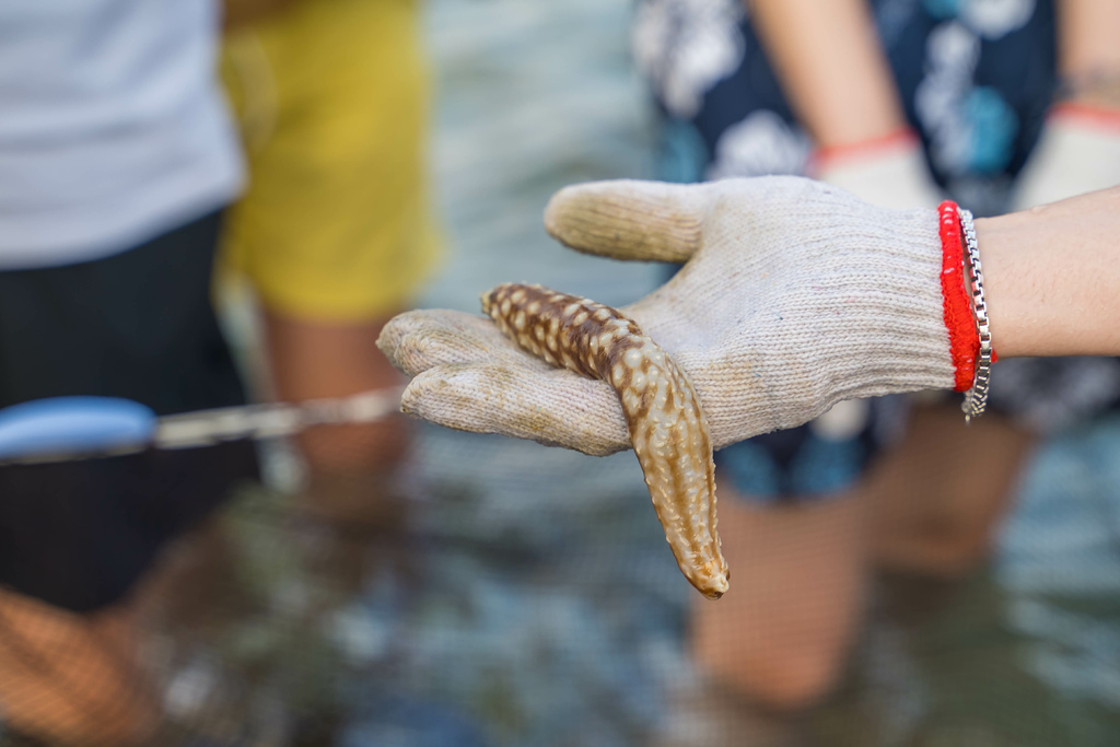 澎湖現抓石斑魚體驗，潮間帶， 全台唯一「阿婆抱礅」，石斑豐魚季一起來潮間帶秘境抓魚吧！ @瑪姬幸福過日子